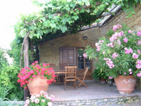 PERGOLA at Le Pietraie a cottage with many flowers Montecastelli